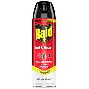 Raid Ant & Roach Killer Aerosol, Lemon