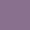 Kitten 257A