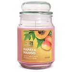 Patriot Candles Jar Candle