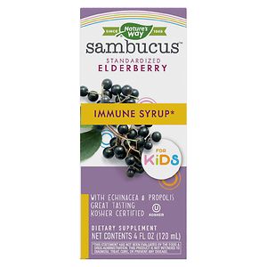 UPC 033674069738 product image for Nature's Way Sambucus for Kids, Berry Flavored, Elderberry, 4 fl oz | upcitemdb.com